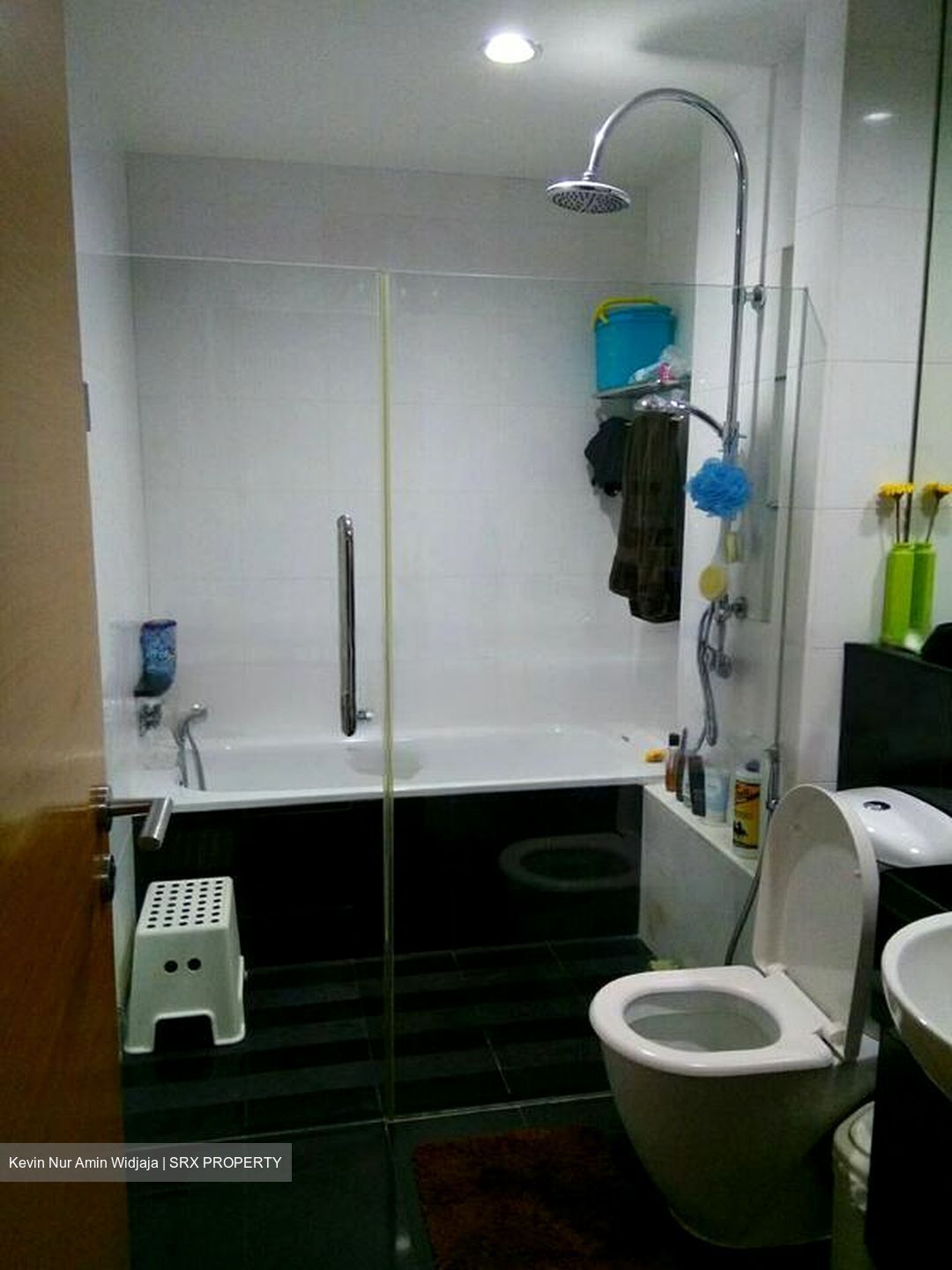 The Waterina (D14), Apartment #502587221